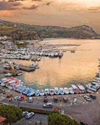 affittacamere amare
