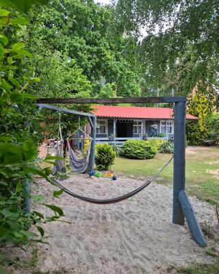 Domek pod brzozami