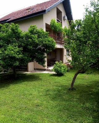 Apartmani Filip