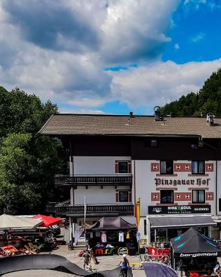 Hotel Pinzgauerhof - Inclusive Evening Dinner and Joker Card in summer