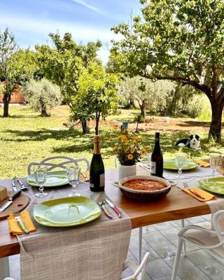 Casa RiVa - Among olive trees and the Tuscan coast