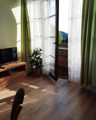 Apartmán PERLA 28, Říčky
