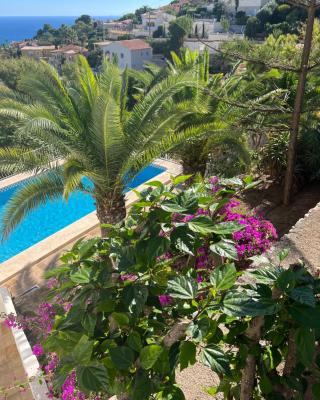 Amazing view villa