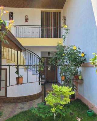 Casa Luminița
