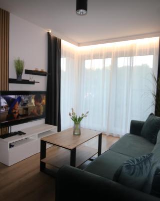 Apartament ARS Platinium Wisła-Spokojna