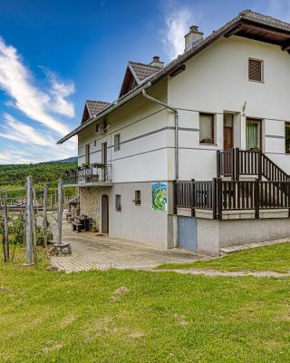 Vineyard Homestead Vrtin - Happy Rentals