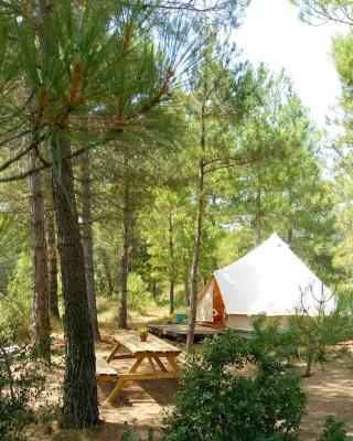 Forest Days