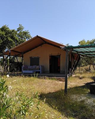 Eco Glamping Portugal Nature Lodge
