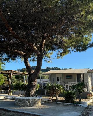 Konstadina House