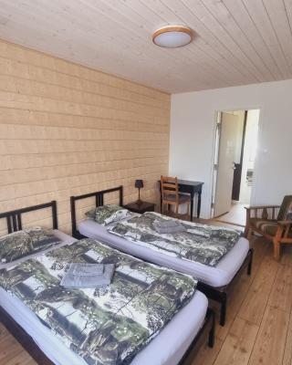 Elch Zimmer Wilderness Life