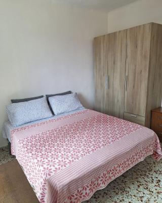 Сozy House