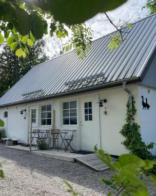 Kustgården