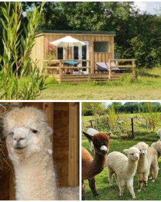 Dartmoor Reach Alpaca Farm Heated Cabins 5 mins drive to Dartmoor