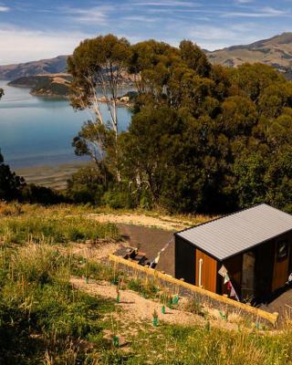 Kūkupa Puni at Akaroa Lavender by Tiny Away