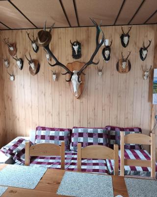 Casa Vanatorului Buzaiel