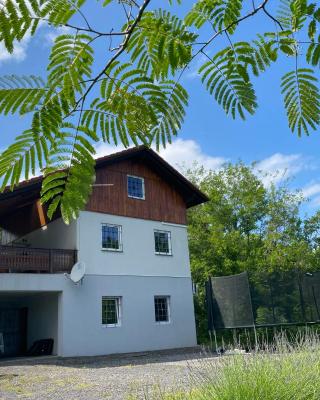 Ginkgo House