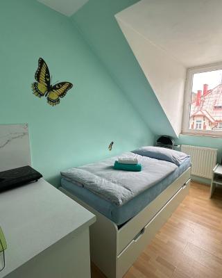 Loft apartment Svahova 6