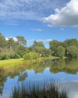 Havre de nature, proche Puy du Fou