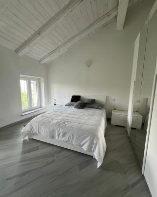 Belvedere