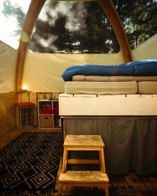Eco Bivouac village igloos Annecy - LE SEMNOZ - à 20 minutes d'Annecy