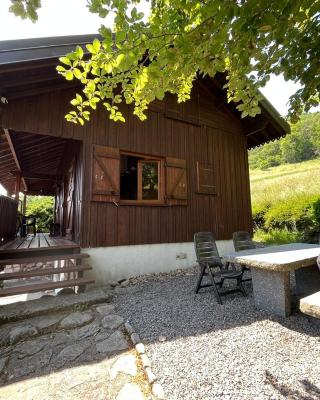 Chalet entier, vue panoramique, ruisseau et sauna.