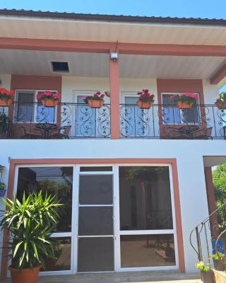 Casa EliAndrei