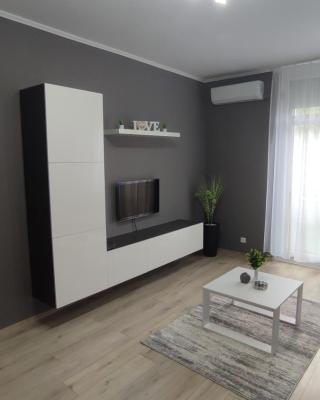 Grey Deluxe Apartman Kaposvár