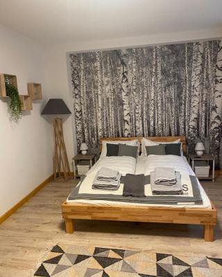 Forest Apartment-Forest Escape Menzenschwand