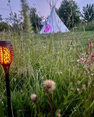 Romantic Wildlife Tipi Teepee Tomnatic Bihor Romania Apuseni