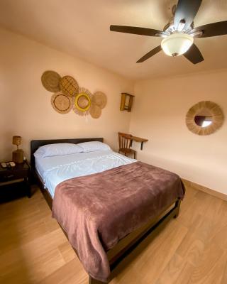 La Rosa Nautica Hostel