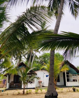 Riverpark Guesthouse Arugambay