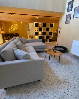 Guesthouse Sprinysem