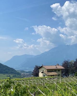 B&B La Casa in Collina