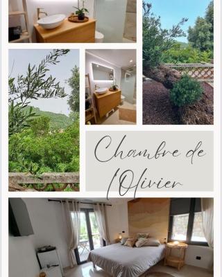 Chambre de l Olivier