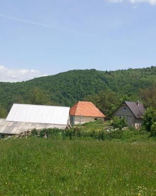 Seosko domaćinstvo Aprcović