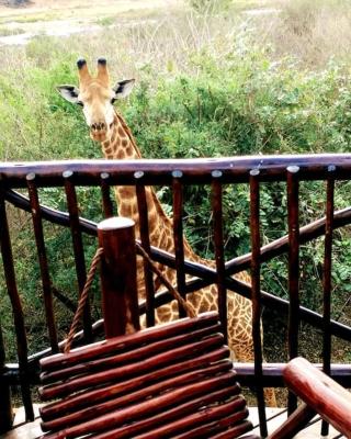 Majuli River Lodge - overlooking Kruger Park