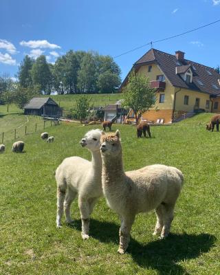 Biohof Kroisleitner