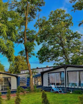 Sonata Camp