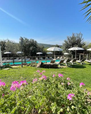 Agriturismo e Glamping Serraiola Alta