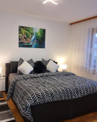 3- Zimmer-Wohnung in Linz Leonding