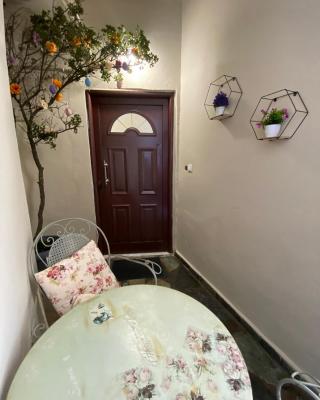 Andreana's House