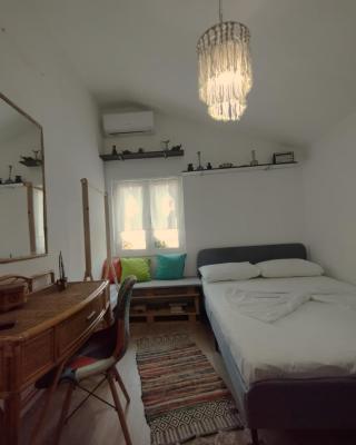 Illyrian studio Tirana