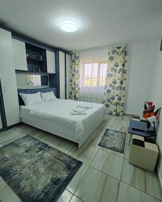 CASA ROTARU