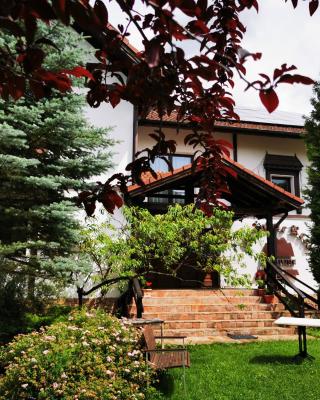 Pensiunea Muntele Rece