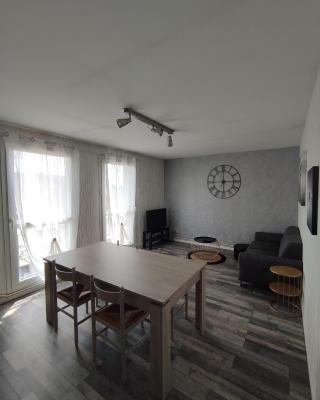 LENS, Bel appartement lumineux spacieux en centre ville 3 chambres