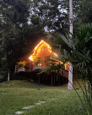 Cabañas Wilú
