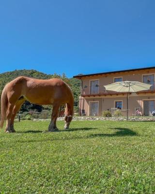 Ranch Enbrucà