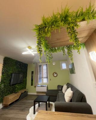 Magnifique Appartement Avignon Intra-Muros