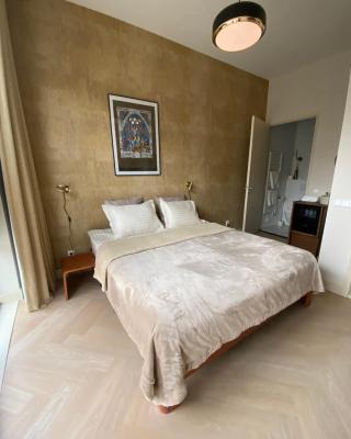 Gorgeous room near Haarlem Station, city center