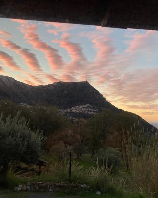 Affittacamere L’ Agrumeto